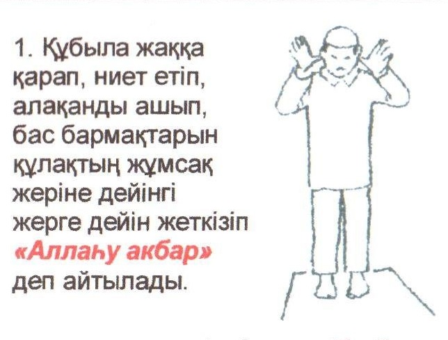 Машина жүргізуді үйрену